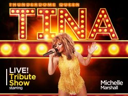 Tina Turner Tribute Show - Thunderdome Queen
